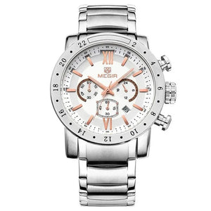 Ludovic Luxury Steel Watch