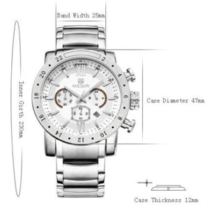 Ludovic Luxury Steel Watch